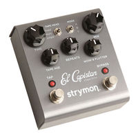 Strymon El Capistan d Tape Echo Manuel D'utilisateur