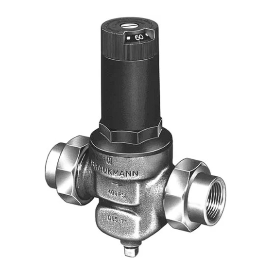 Honeywell Braukmann DS05 Fiche Technique