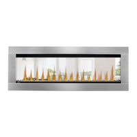 Regency Fireplace Products CST60E City Serie Manuel D'installation Et D'utilisation