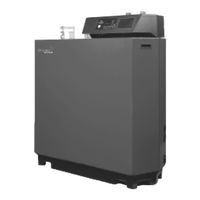 Remeha Gas 210 ECO Notice D'utilisation