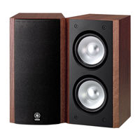 Yamaha NS-B310 Mode D'emploi