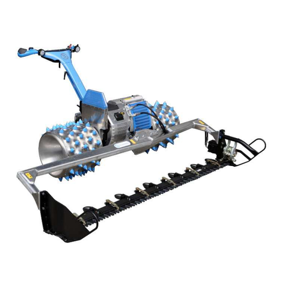 brielmaier S250 Traduction De La Notice Originale