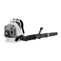 Stihl BR 800 Notice D'emploi