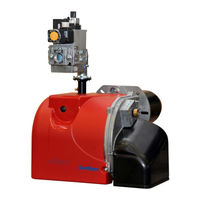 Ecoflam MAX GAS 170 P Manuel D'instructions