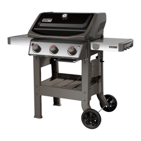 Weber S-210 GBS Manuels