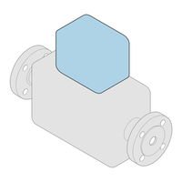 Endress+Hauser Proline 10 Instructions