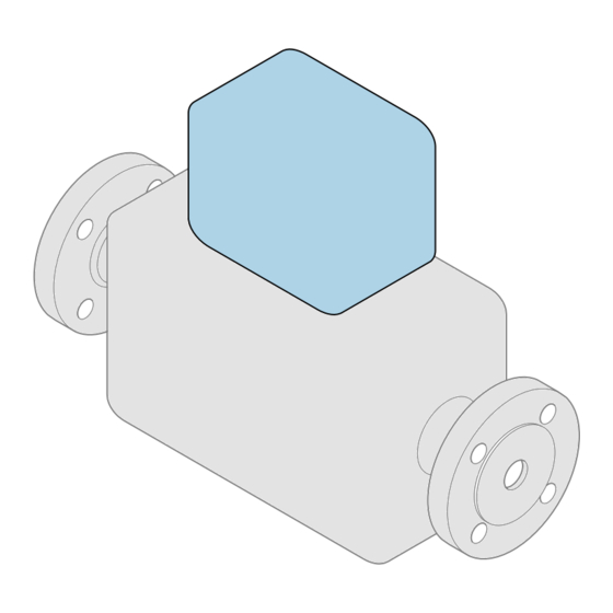 Endress+Hauser Proline 10 Instructions