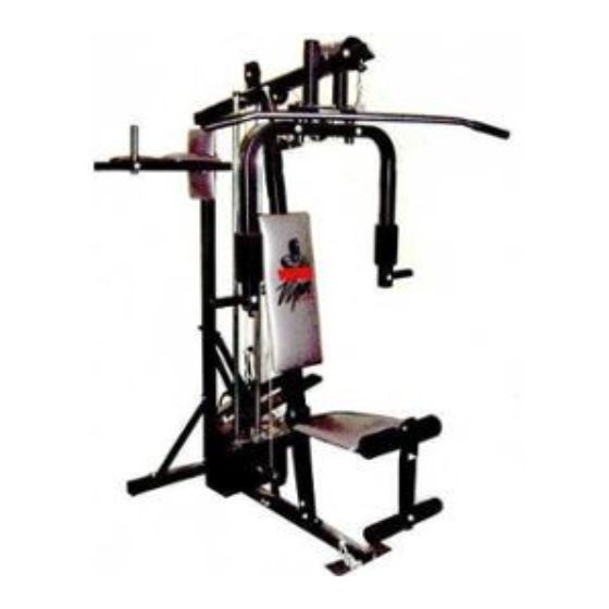 Weider Viper 2000 Manuel De L'utilisateur