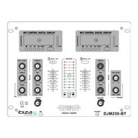 Ibiza sound DJM250BT Manuel D'utilisation