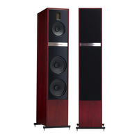 Martin Logan Motion 35XTi Guide De L'utilisateur