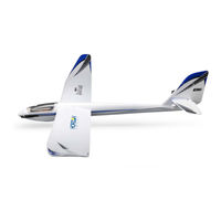 Horizon Hobby E-Flite Night Radian 2.0m Manuel D'utilisation