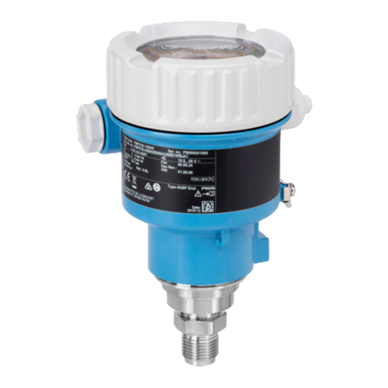 Endress+Hauser Cerabar PMP51B Instructions Condensées