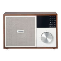 Grundig WTR 3200 BT DAB plus WEB Manuel D'instructions