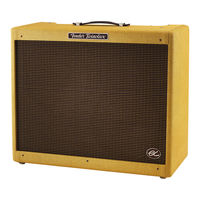 Fender EC Twinolux PR 1169 Mode D'emploi