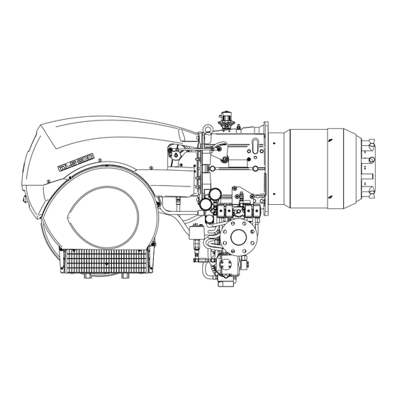 Riello RLS 800/EV MX Instructions Pour Installation, Utilisation Et Entretien