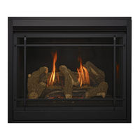 Kozy Heat Fireplaces OAKPORT-18-MV Manuel D'installation Et D'utilisation