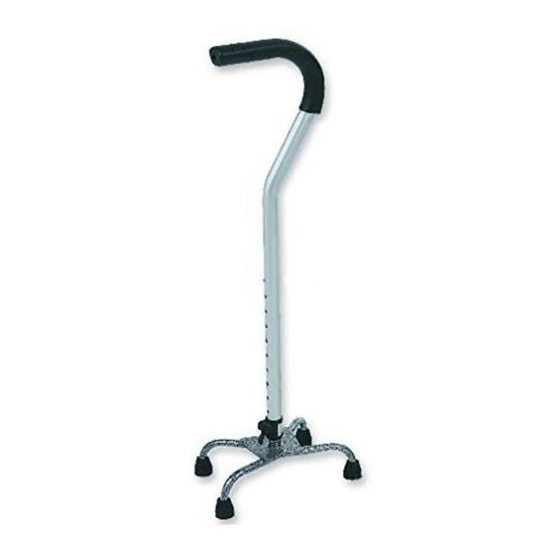 Invacare Canes Manuels