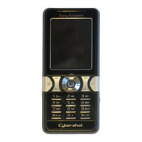 Sony Ericsson K550i Guide De L'utilisateur