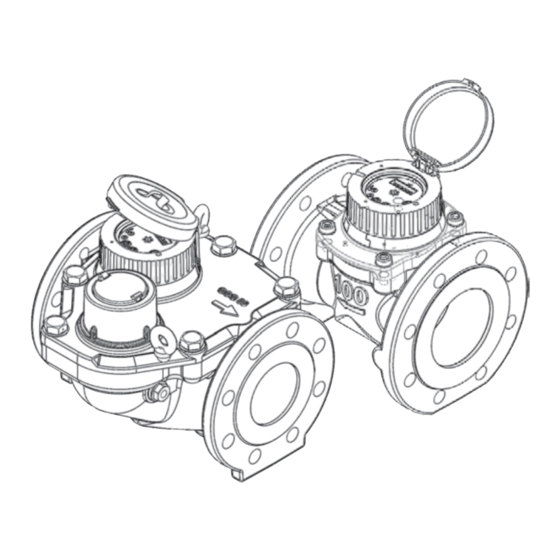 Diehl Metering WESAN WP Instructions D'installation