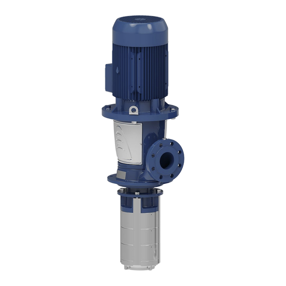 Xylem Lowara e-SVI Série Instructions D'installation, D'utilisation Et D'entretien Supplémentaires