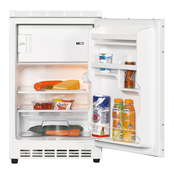 Amica UM100.3 Notice D'utilisation
