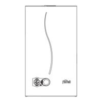 Ferroli MYRA D F32 Instructions D'utilisation, D'installation Et D'entretien