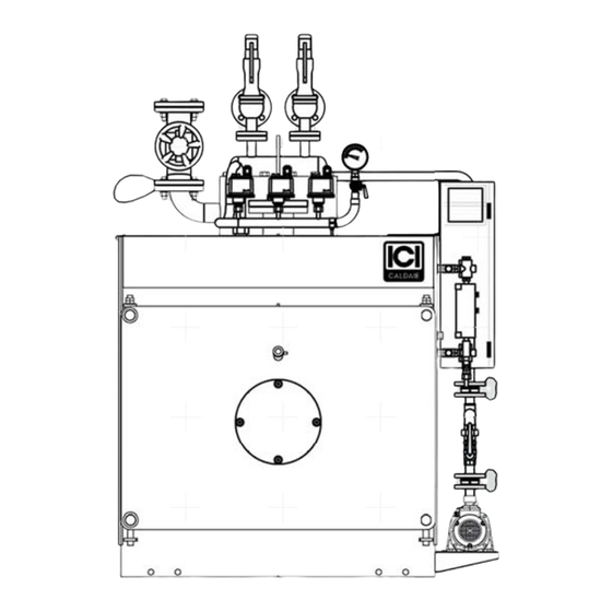 ICI Caldaie BBNX 100 Manuel D'installation, D'utilisation Et De Maintenance