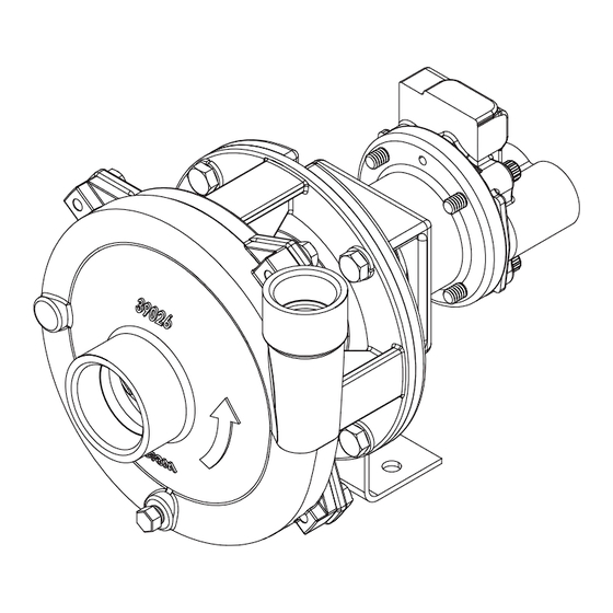 Ingersoll Rand MP Pumps CHEMFLO 2 CC Manuel De L'utilisateur