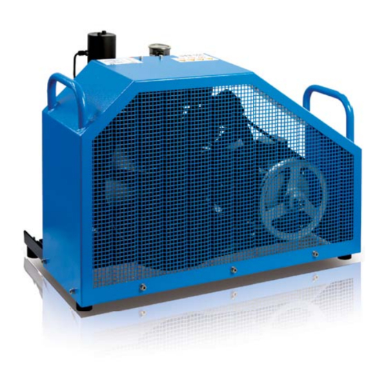 Coltri Compressors MCH-8-11/EM STANDARD Manuel D'utilisation Et D'entretien