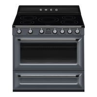 Smeg TR90IGR Manuel D'utilisation