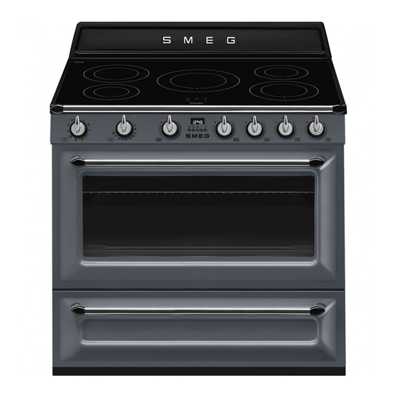 Smeg TR90IGR Manuel D'utilisation