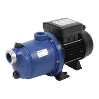 Pentair BLUEFLO LITE Guide D'installation