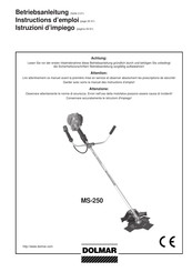 Dolmar MS-250 Instructions D'emploi