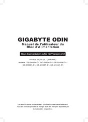 Gigabyte Odin GT Série Manuel De L'utilisateur