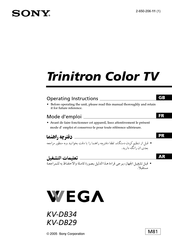 Sony Trinitron Wega KV-DB29 Mode D'emploi