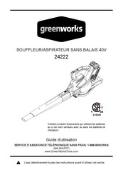 GreenWorks 24222 Guide D'utilisation