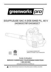 GreenWorks Pro 2403802CT Guide D'utilisation