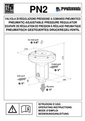 Pratissoli PN2/250 Mode D'emploi