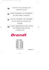 Brandt TI210 Guide D'utilisation Et D'installation