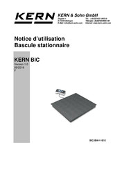 KERN BIC 600K-1S Notice D'utilisation