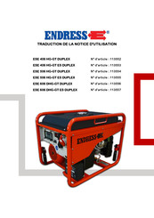 Endress ESE 606 DHG-GT DUPLEX Notice D'utilisation