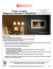 Regency Horizon HZ42STE-NG10 Guide D'installation Et D'utilisation