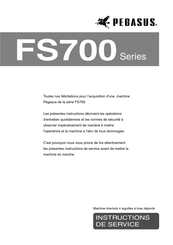 Pegasus FS713-G0 Instructions D'utilisation