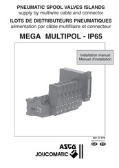 Emerson MEGA MULTIPOL - IP65 Manuel D'installation