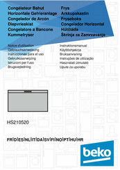 Beko HS210520 Notice D'utilisation