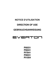 EVERTON PI9031 Notice D'utilisation
