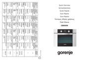 Gorenje CB8900E Guide Rapide