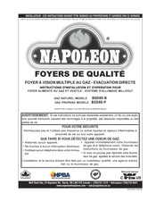 Napoleon BGD40-N Instructions D'installation Et D'opération
