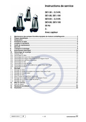 Grundfos SEV 100 Serie Instructions De Service