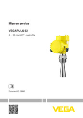 Vega PULS 62 Mise En Service